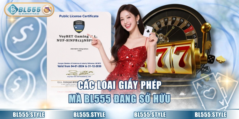 Các loại giấy phép mà BL555 đang sở hữu