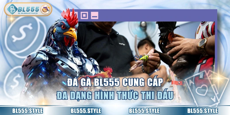 Đá gà BL555 cung cấp đa dạng hình thức thi đấu