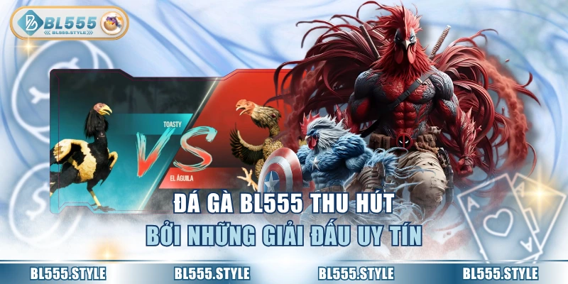 Đá gà BL555 thu hút bởi những giải đấu uy tín