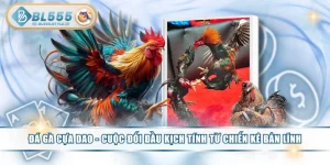 Đá Gà Cựa Dao - Cuộc Đối Đầu Kịch Tính Từ Chiến Kê Bản Lĩnh