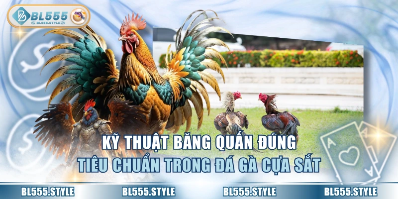 Kỹ thuật băng quấn đúng tiêu chuẩn trong đá gà cựa sắt
