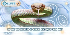 Mơ Thấy Rắn Cắn Đánh Gì? Giải Mã Giấc Mộng Chuẩn Nhất