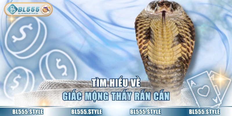 Tìm hiểu về giấc mộng thấy rắn cắn